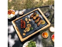 Mestic Grillplaat MG-135 -Winkel Voor Buitenkampeerartikelen 50 3 mestic grillplaat mg 135 1506500